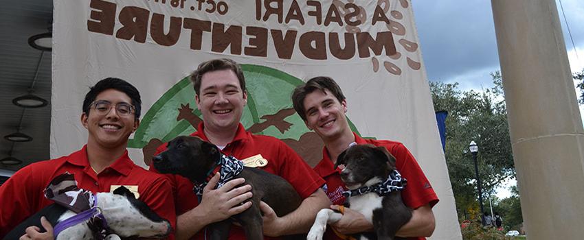 Three southerners holding dogs.